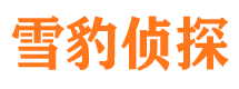 固安市私人侦探